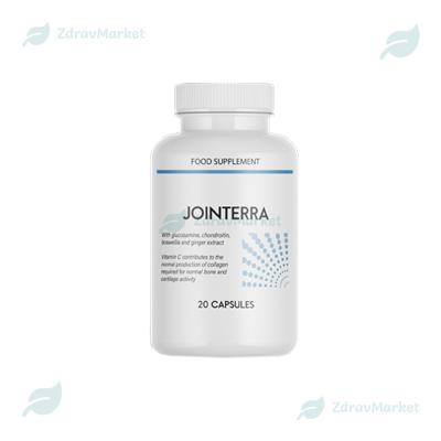 Jointerra